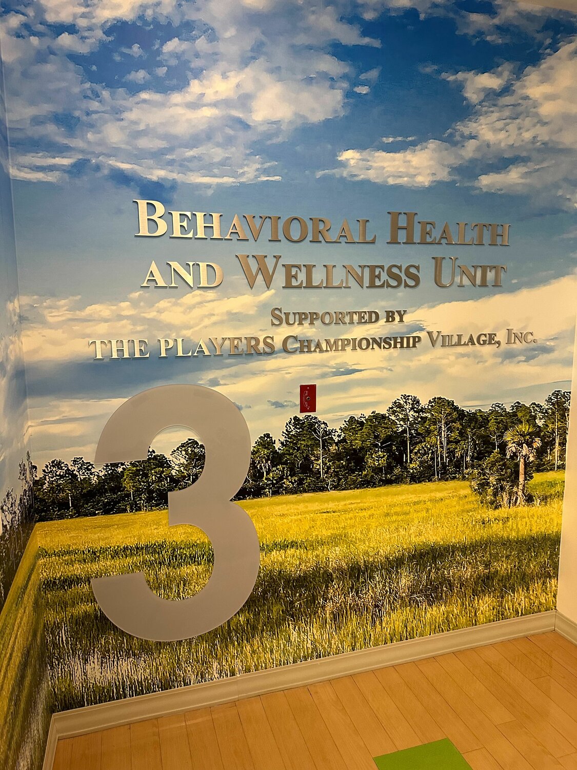 The entrance biome for the new Behavioral Health and Wellness Unit at Wolfson Children's Hospital